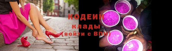 apvp Кодинск