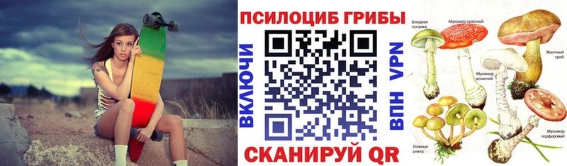 Галлюциногенные грибы Psilocybe  Купить закладки  Губаха 